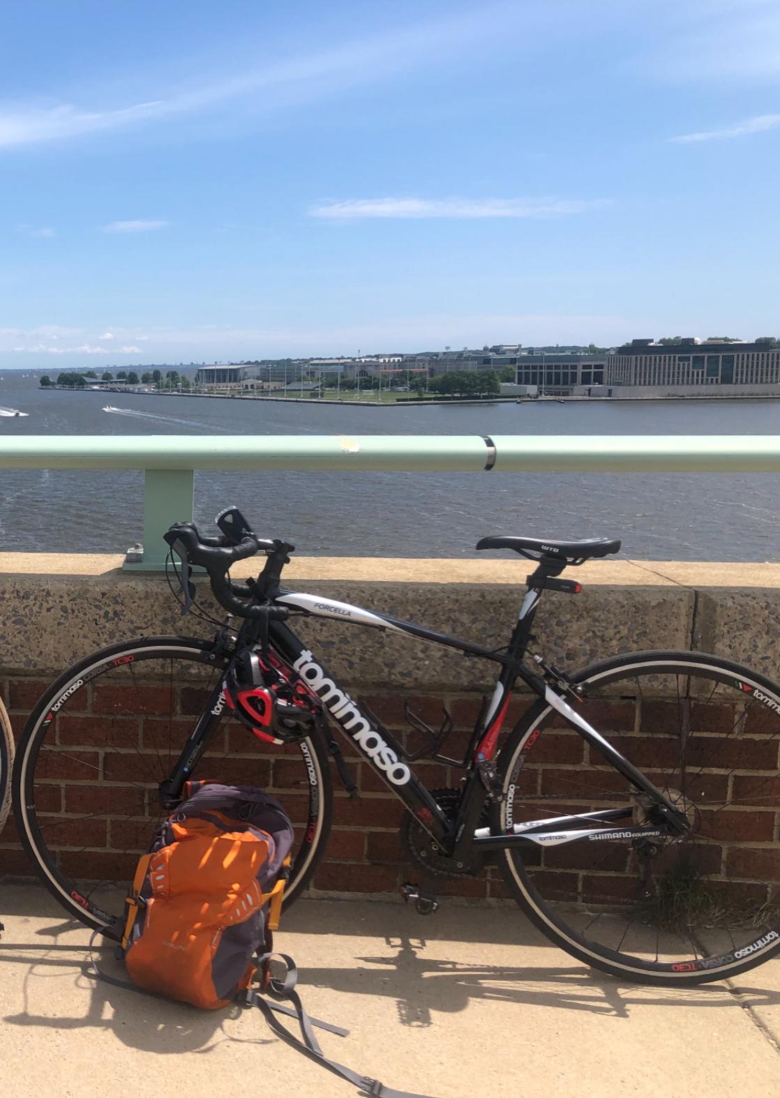 2015 Tommaso Forcella Black, White, and Red