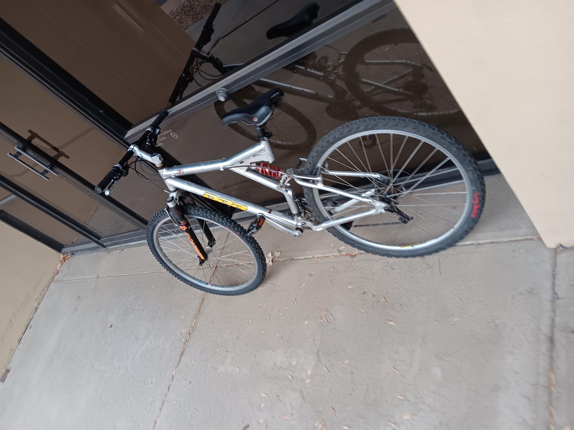 Diamondback DBR Silver, gray or bare metal