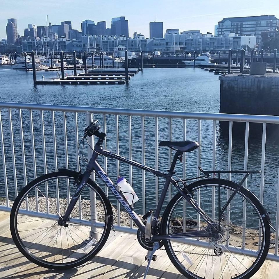 2015 Cannondale Quick5 Purple