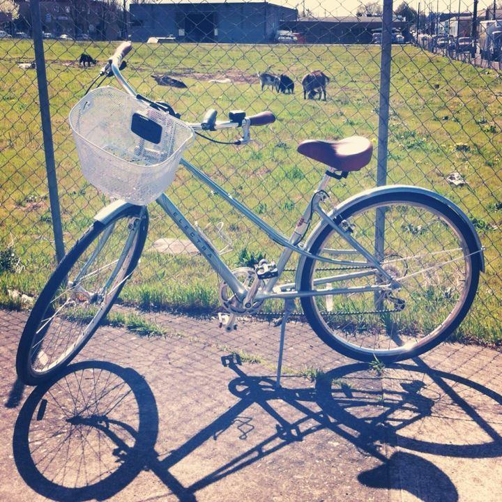 2009 Electra Bicycle Company Amsterdam  Black