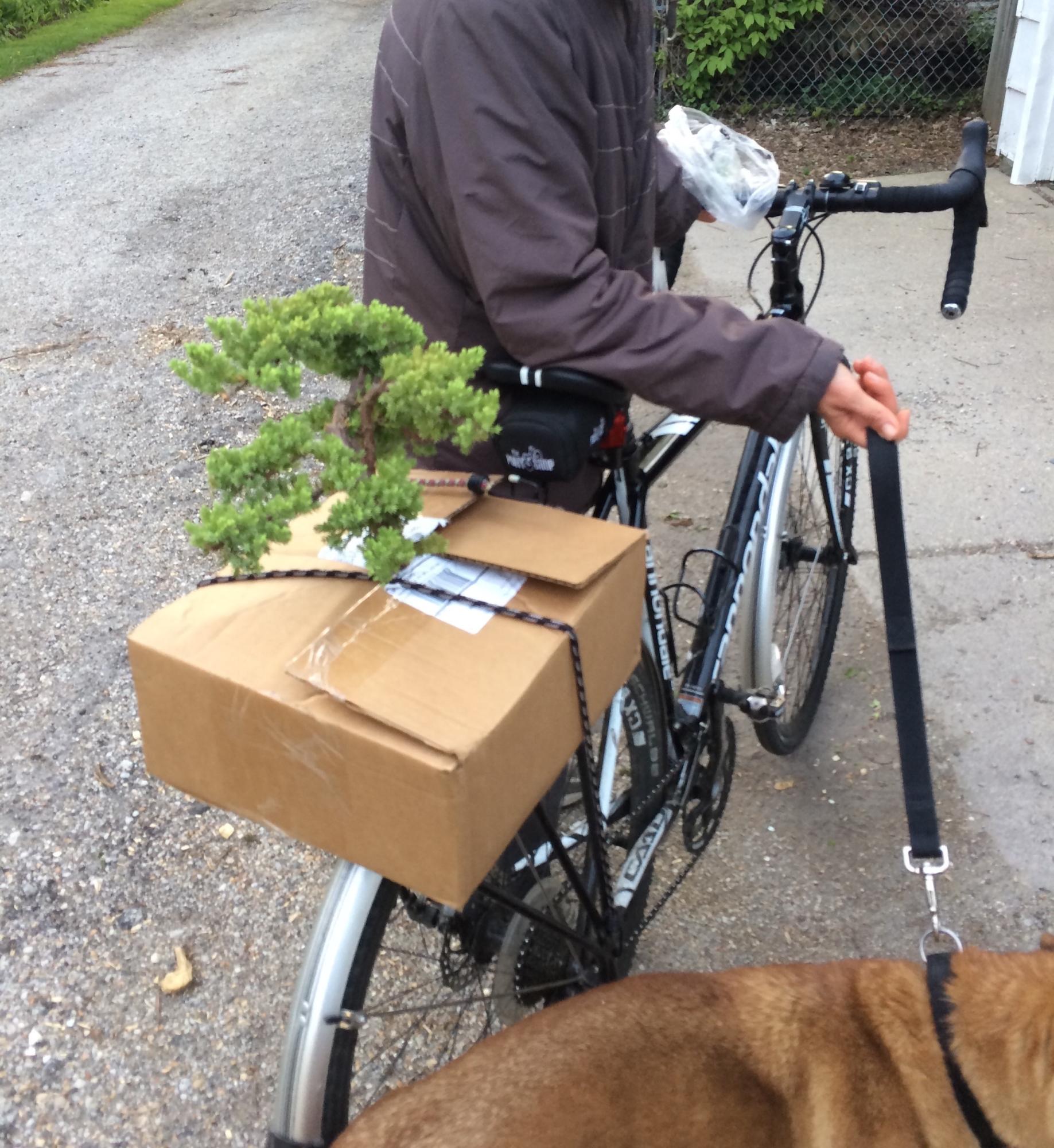 2014 Cannondale Caadx Disc 5 105 Black