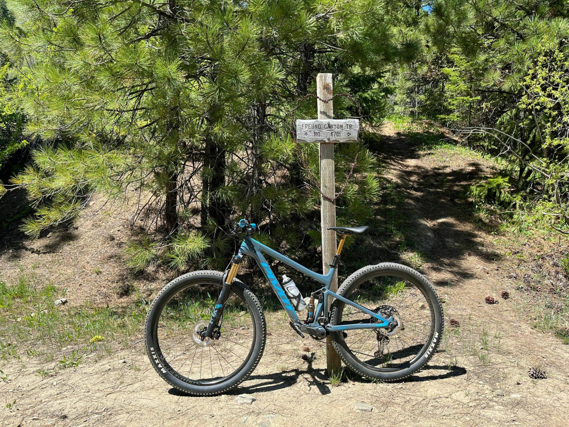 2022 Pivot Mach 4 SL Silver, gray or bare metal