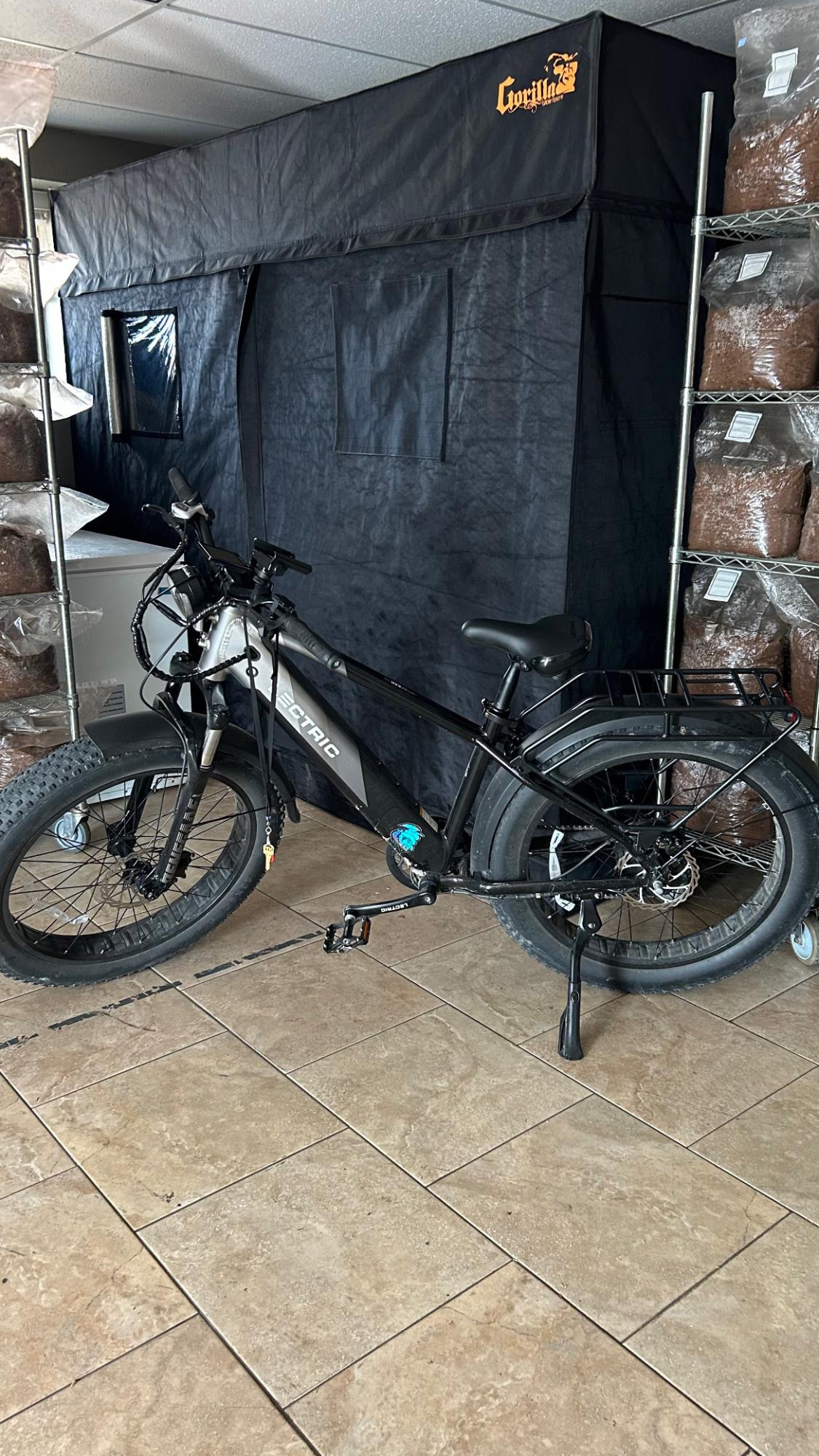 2024 Lectric eBikes High step Silver, gray or bare metal and Black