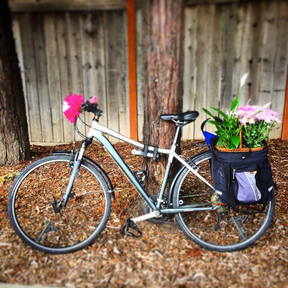 2010 Specialized Ariel Elite Silver or Gray