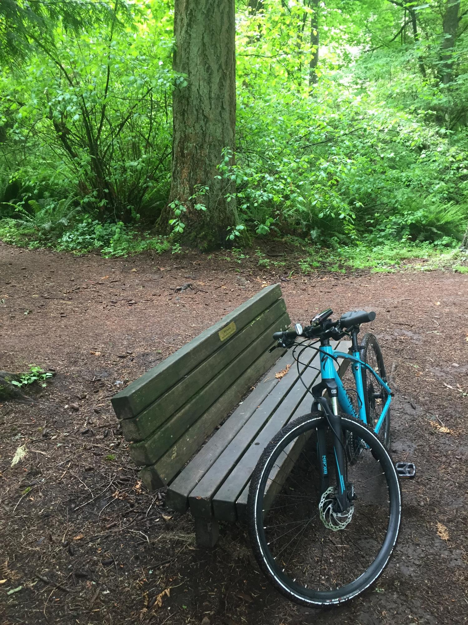 2019 Specialized Crosstrail Blue