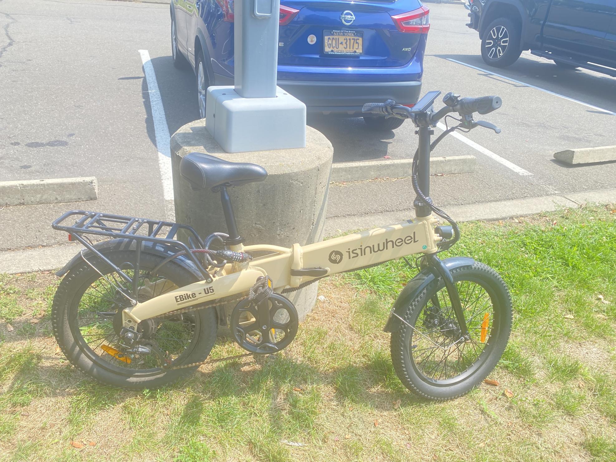 Isinwheel Yellow or Gold