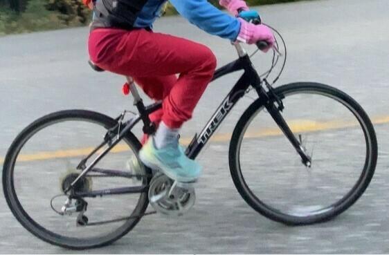 2011 Trek 7.2 FX Purple and Silver, gray or bare metal