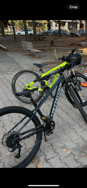 2027 Specialized Rockhopper Sport 5 Satin Slate S Black