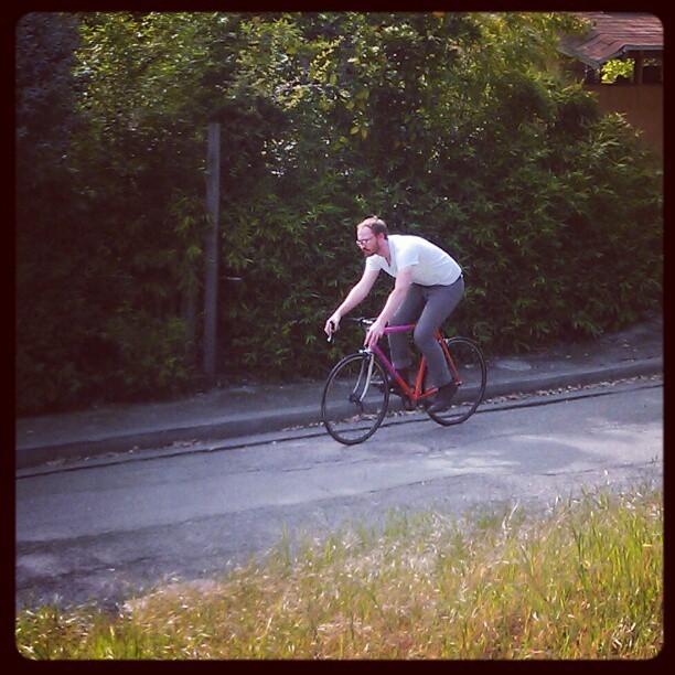 Other Concorde  Orange and Pink