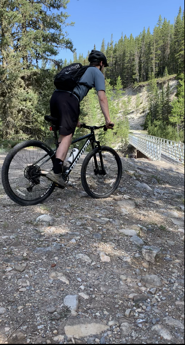 2022 Specialized Rockhopper Expert Green