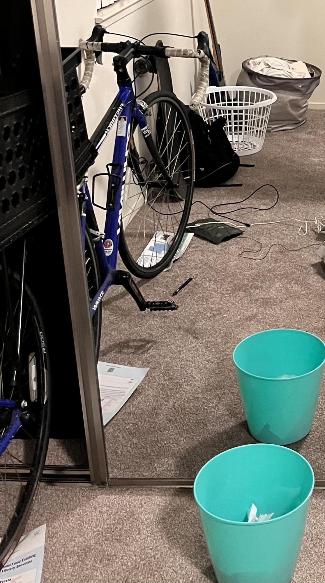 Schwinn Fastback Blue