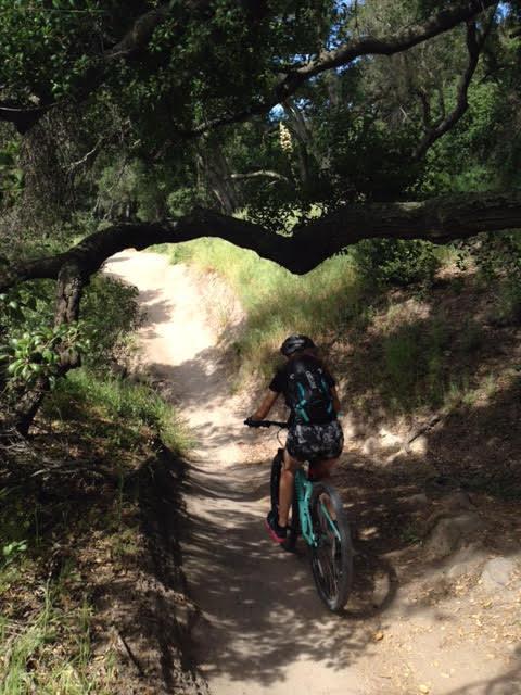 2017 Specialized Jynx 650B Teal