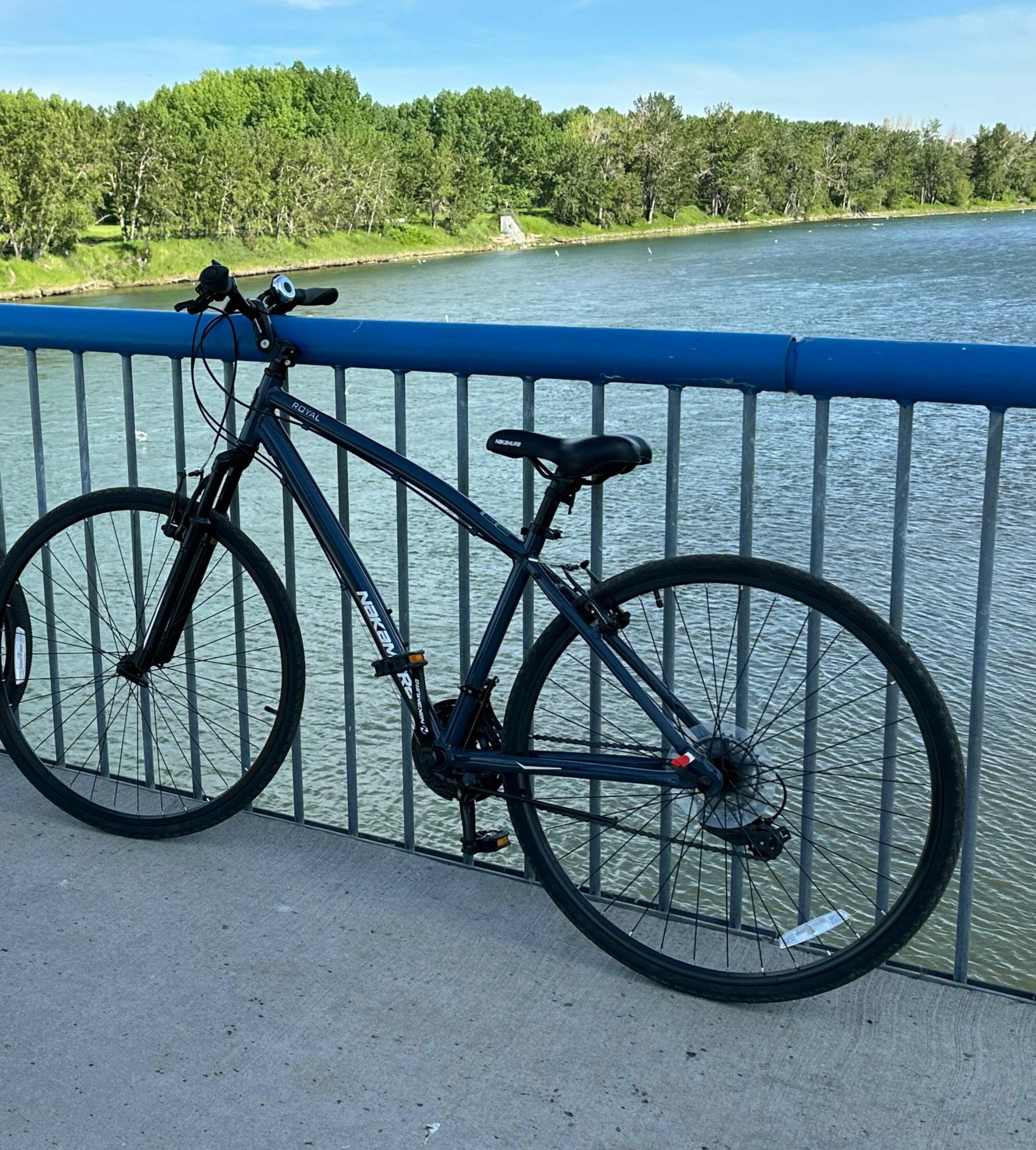 2022 Nakamura Royal 700C Hybrid (Q123) Gray 04 Gray... Blue and Silver, gray or bare metal