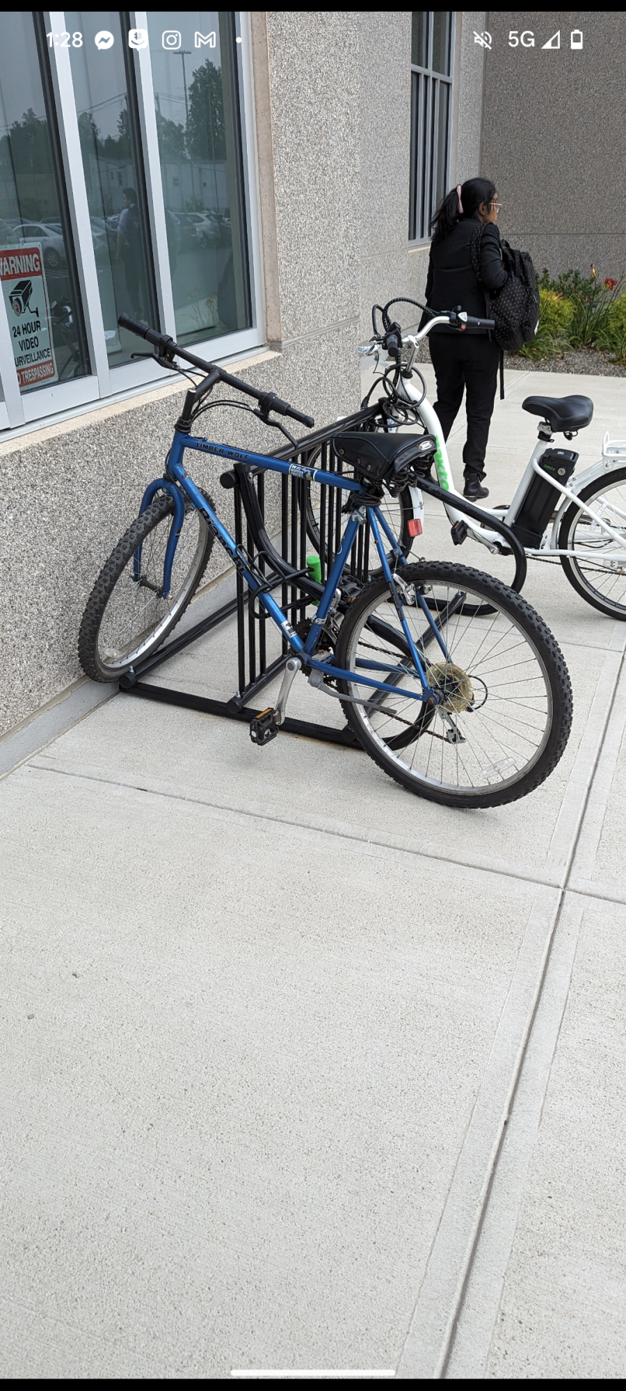 1997 Bianchi timberwolf Blue