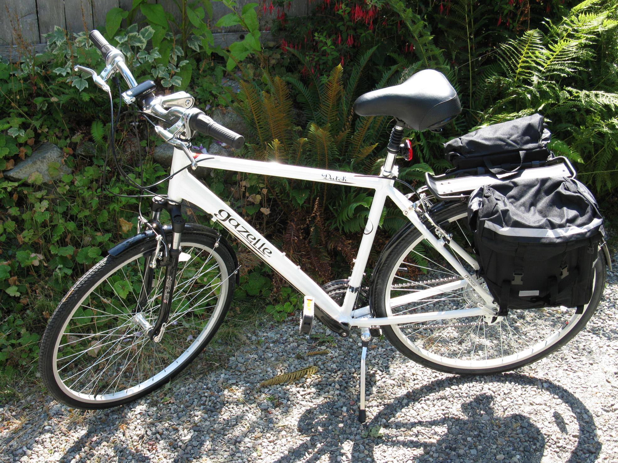 Gazelle Dutch  White