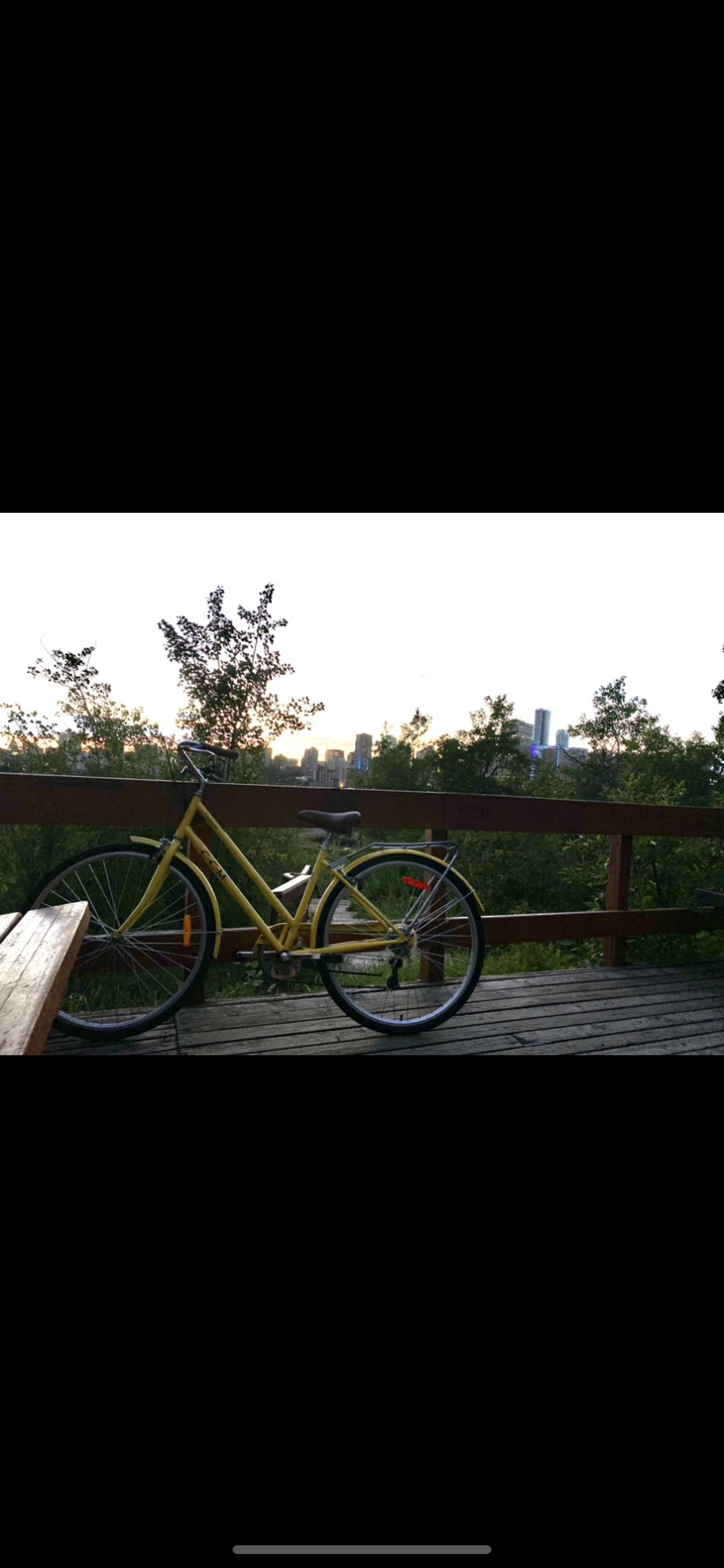 CCM Toulouse 700C hybrid bike Yellow or Gold