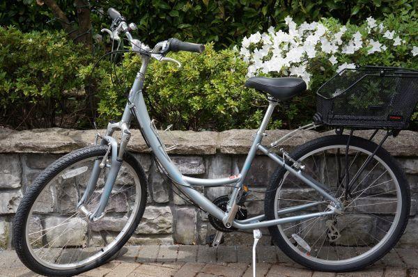 Specialized Globe Women's  Silver or Gray