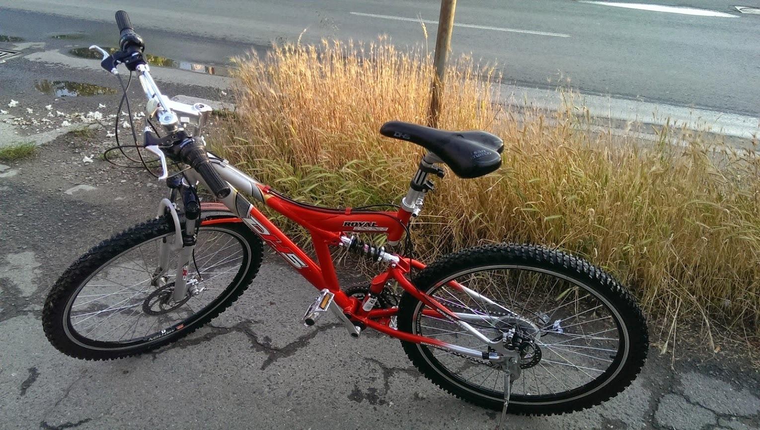 DHS Full suspension  Red