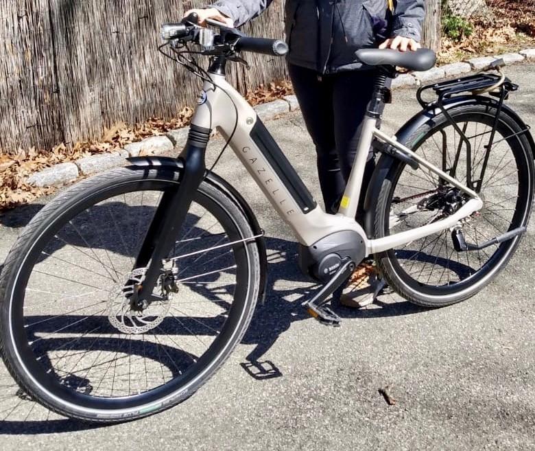 2022 Gazelle Ultimate C8 Low Class 1 Light Siena Silver, gray or bare metal