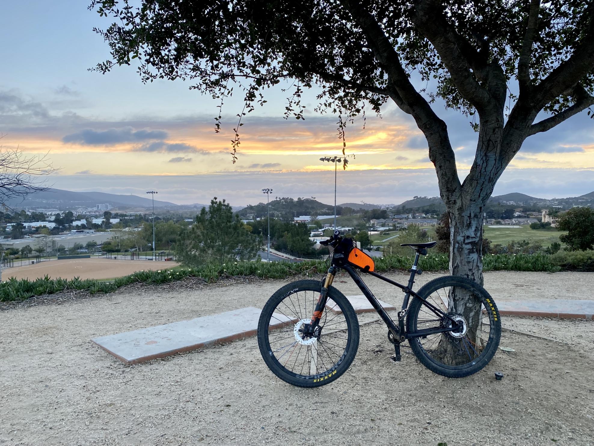 2020 Trek procaliber Black