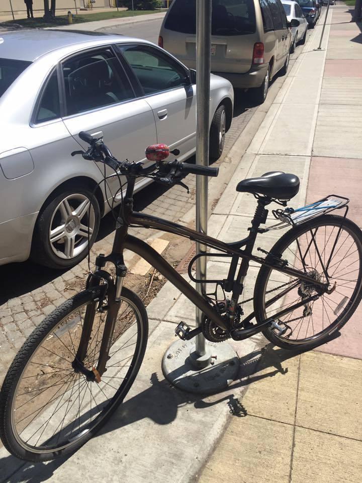 2009 Specialized Carmel 3 700 B Brown