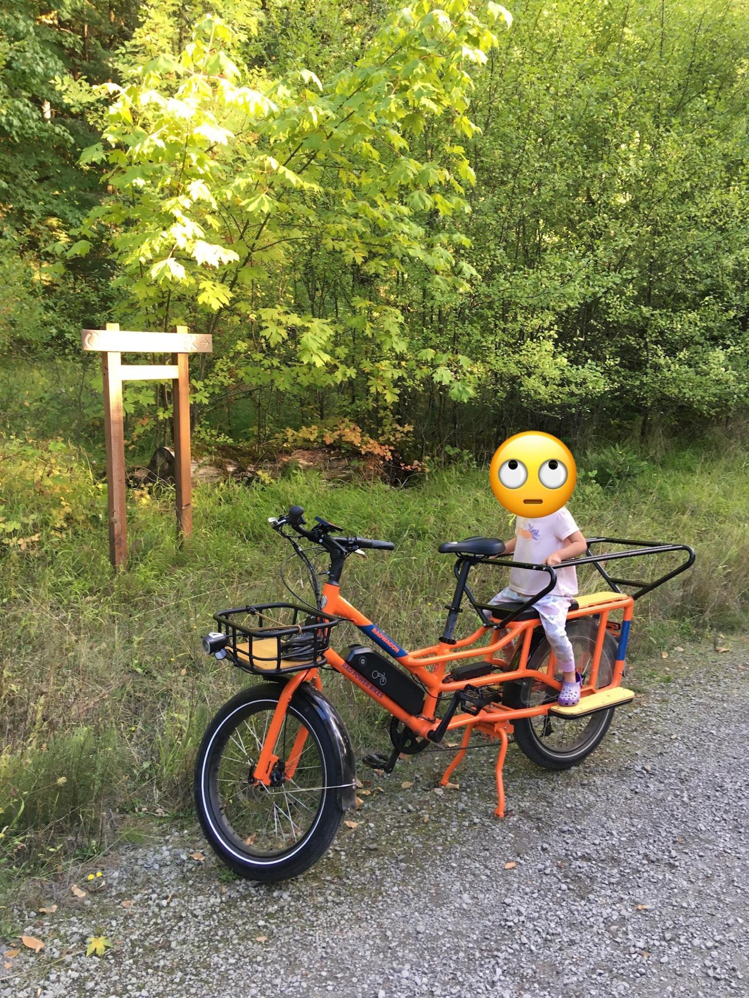 2023 Rad Power Bikes Rad Wagon 4 cargo bike (rear storage) Orange