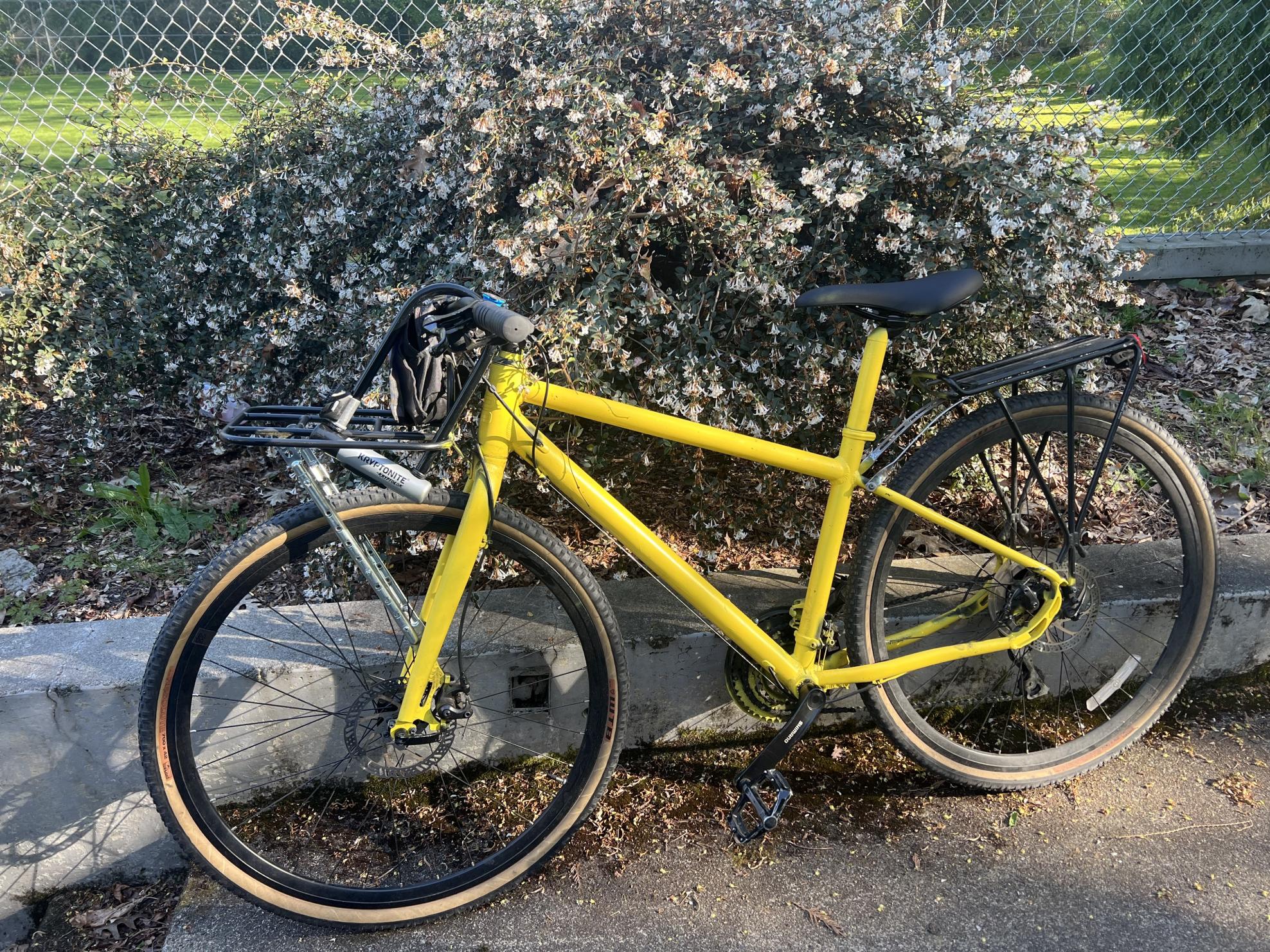 2023 REI Co-op Yellow or Gold