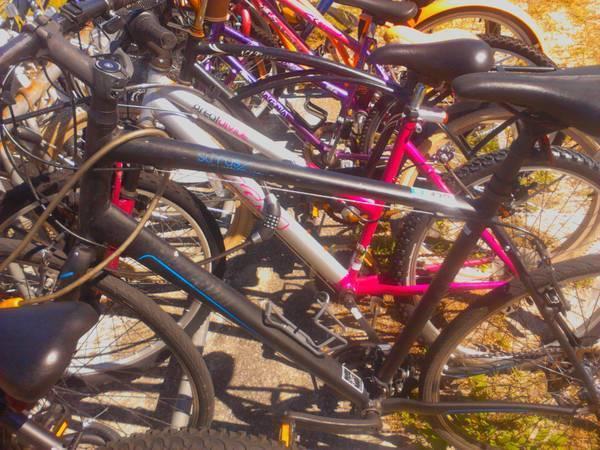 Photo of the back that the theif took