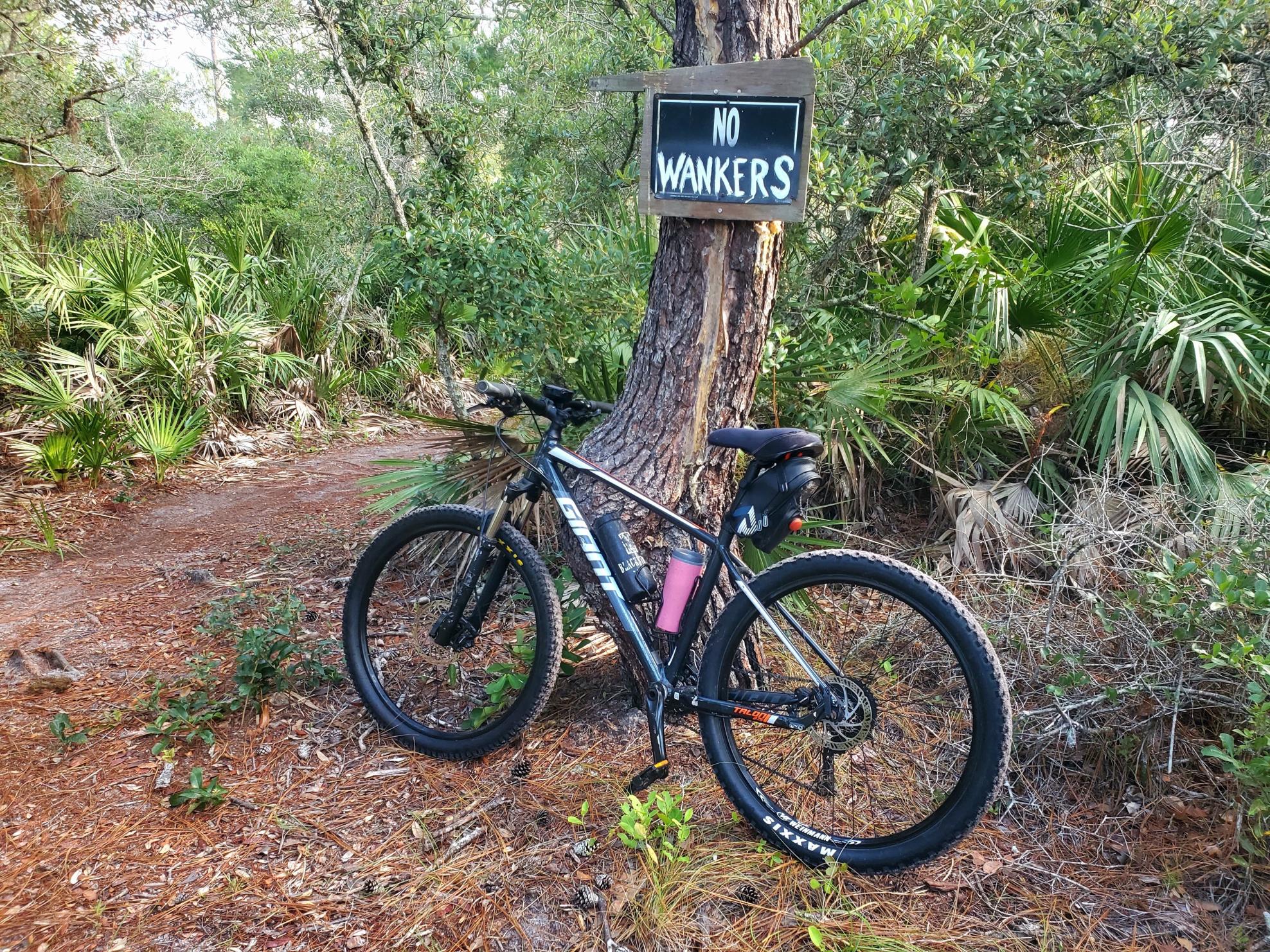 Giant Talon 29er 2 Black