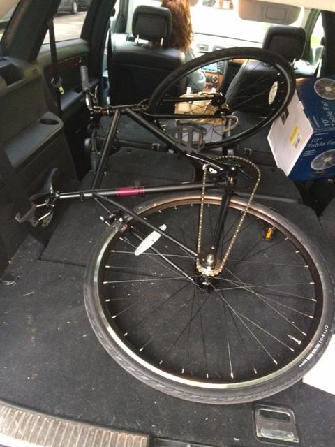 2016 Fuji Declaration Black and Purple