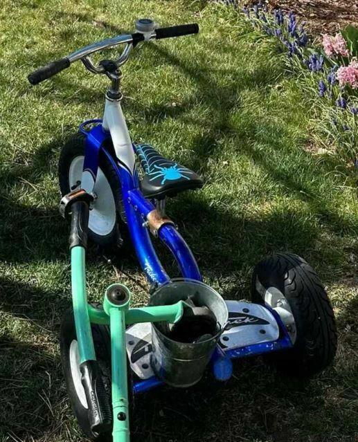 Trek tricycle Blue