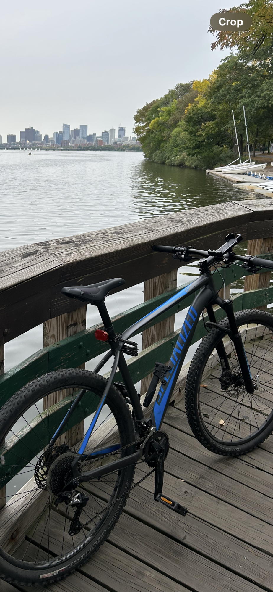 2017 Specialized Rockhopper 29 Expert Blue and Silver, gray or bare metal