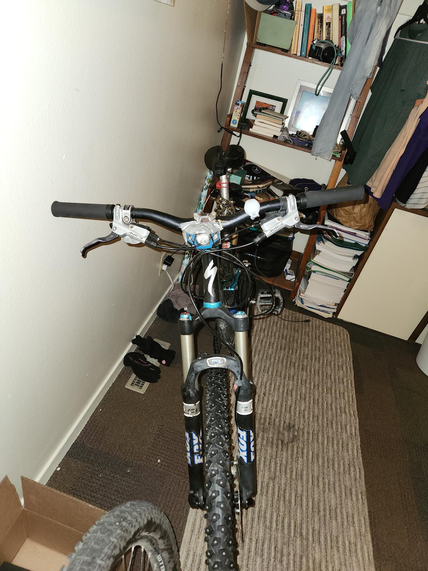 2025 Specialized Saffire comp Silver, gray or bare metal