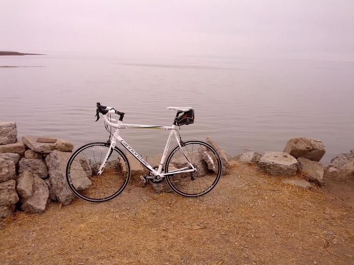 2013 Cannondale synapse  White