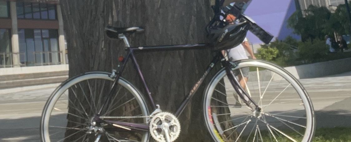 1987 Giant CFR 3 Purple