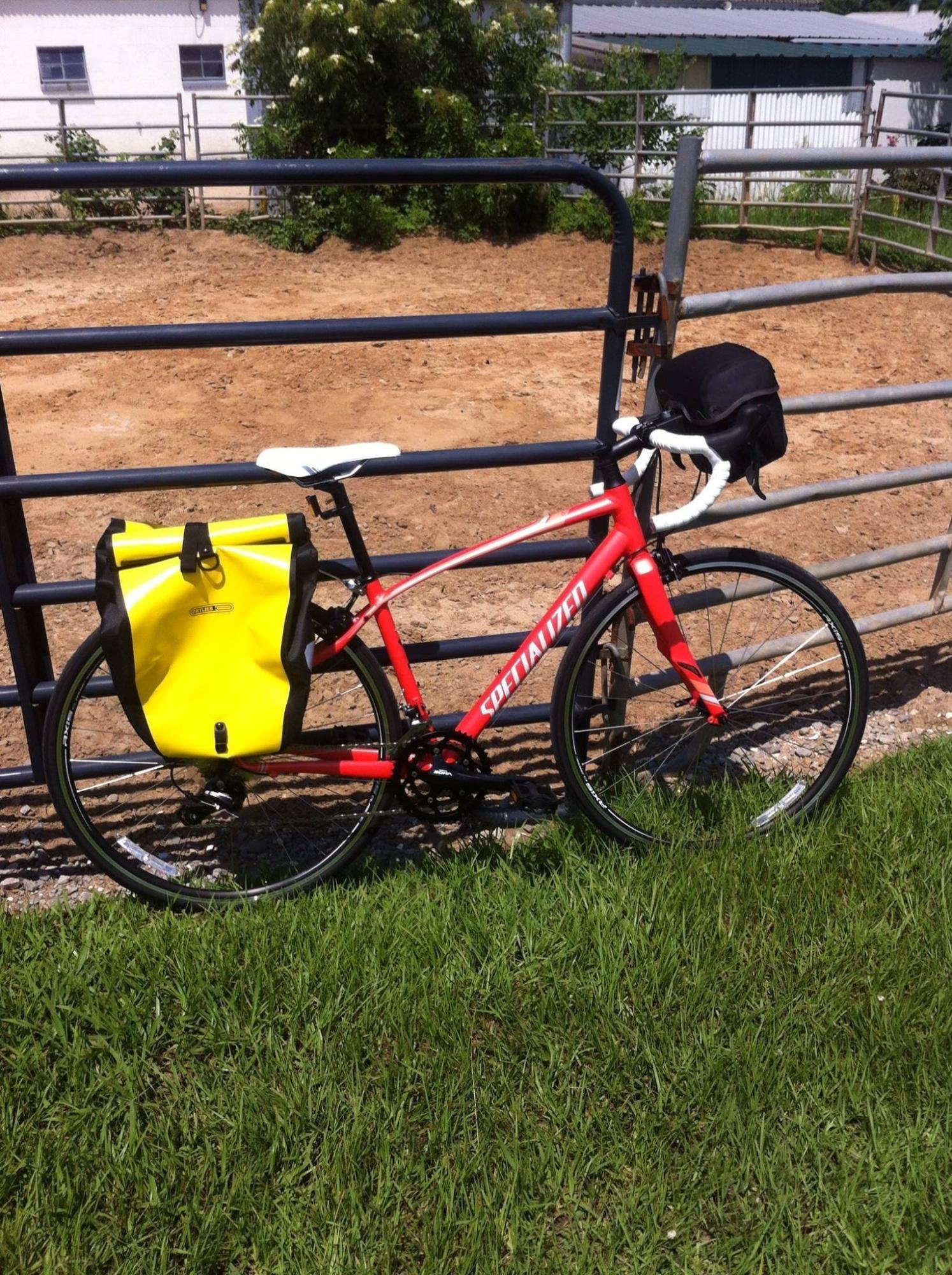 2016 Specialized road Orange