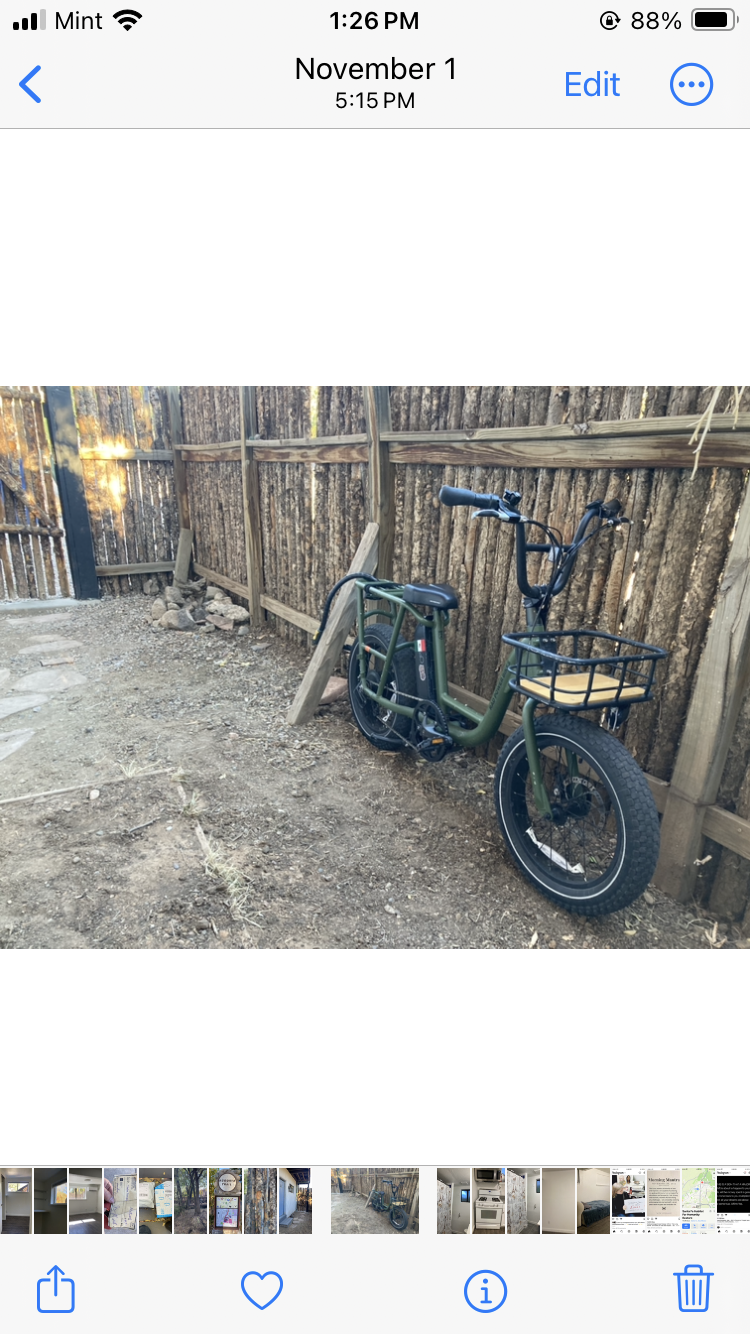 2022 Rad Power Bikes Utility e-scooter Green