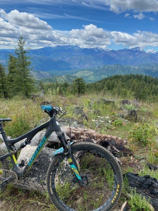 2016 Santa Cruz 5010 C Black, Teal, and Yellow or Gold