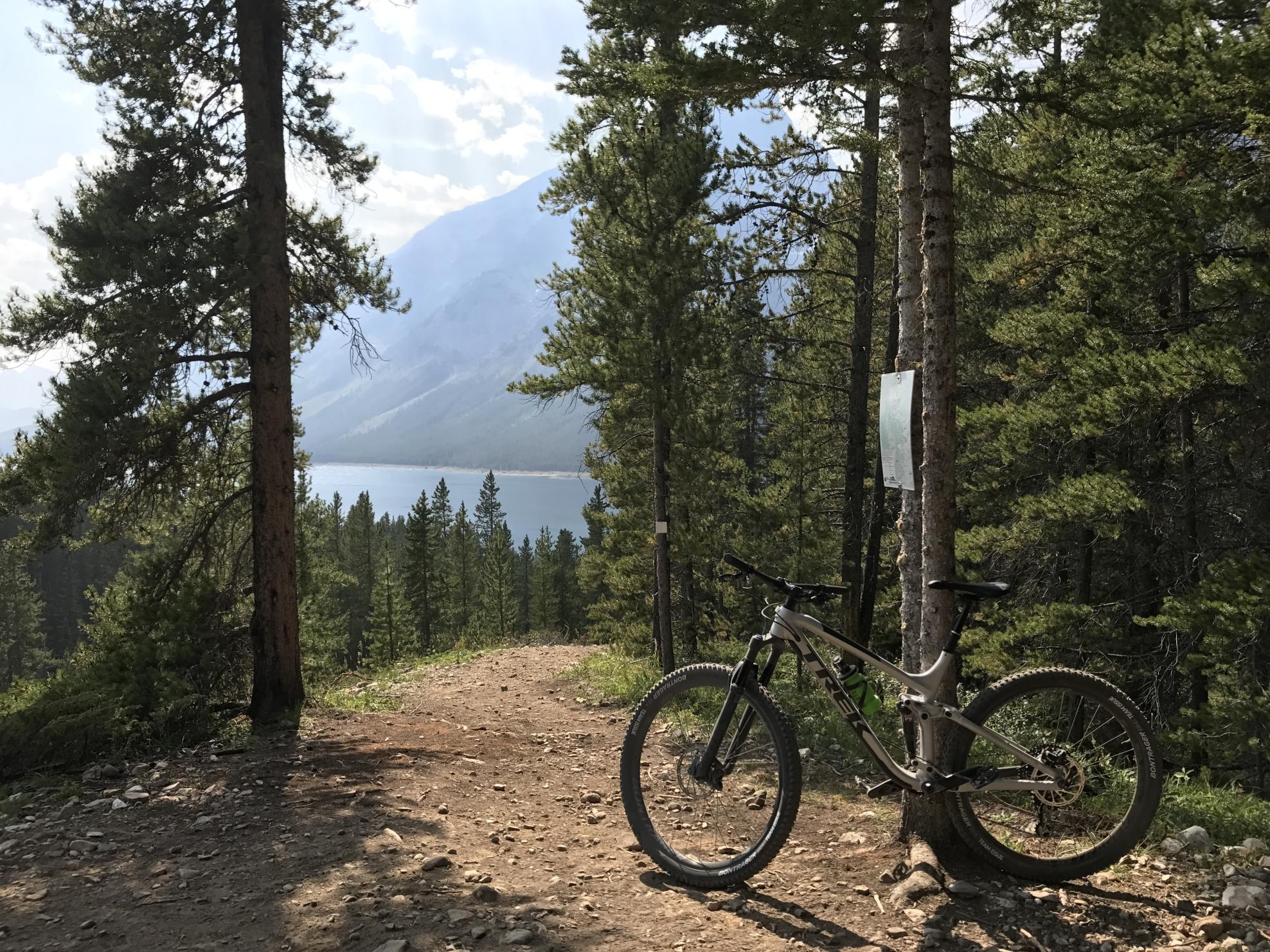 2018 Trek Fuel Silver, gray or bare metal