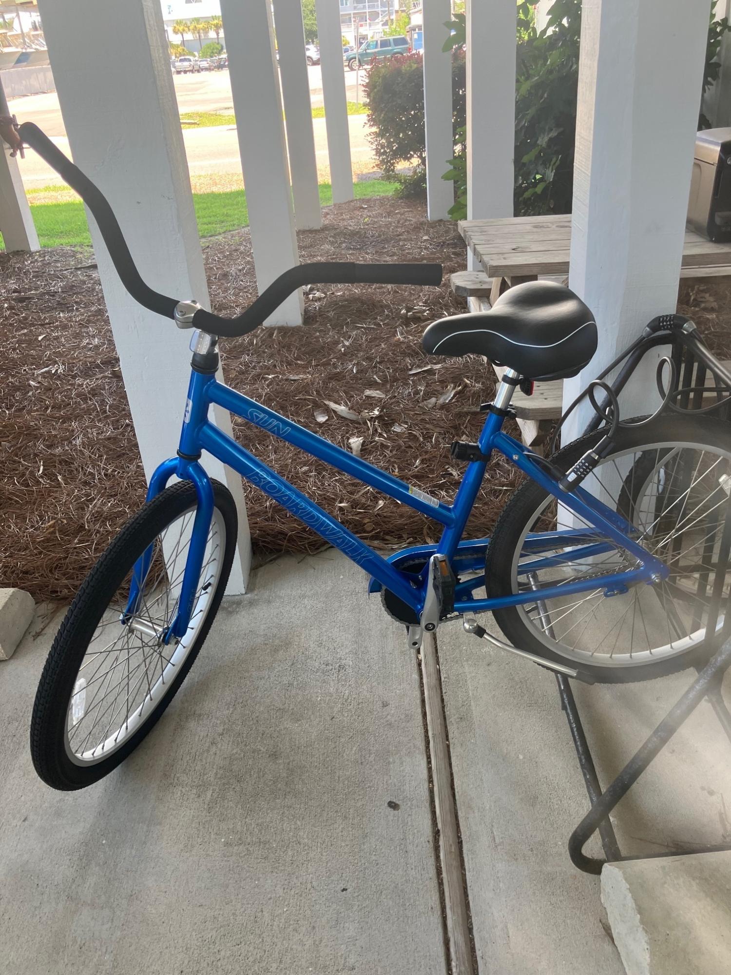 2024 Sun ALY L19 CB Blue