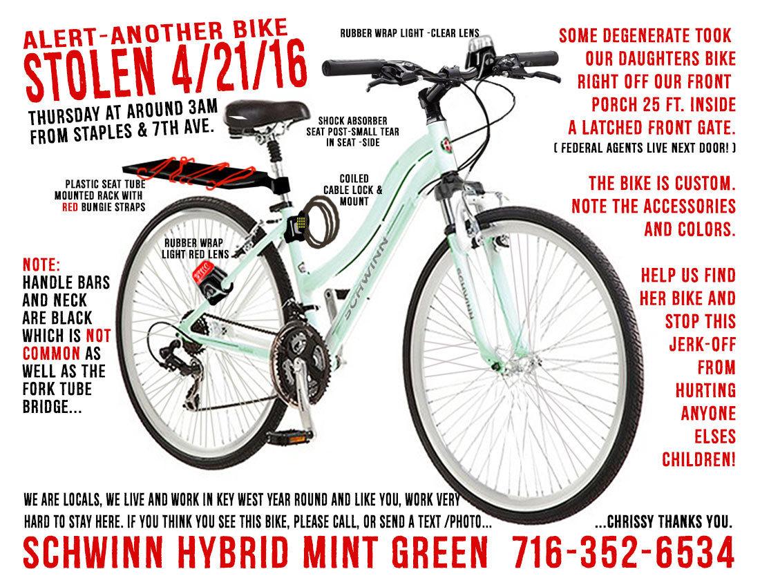 Schwinn Voyageur 1 Green