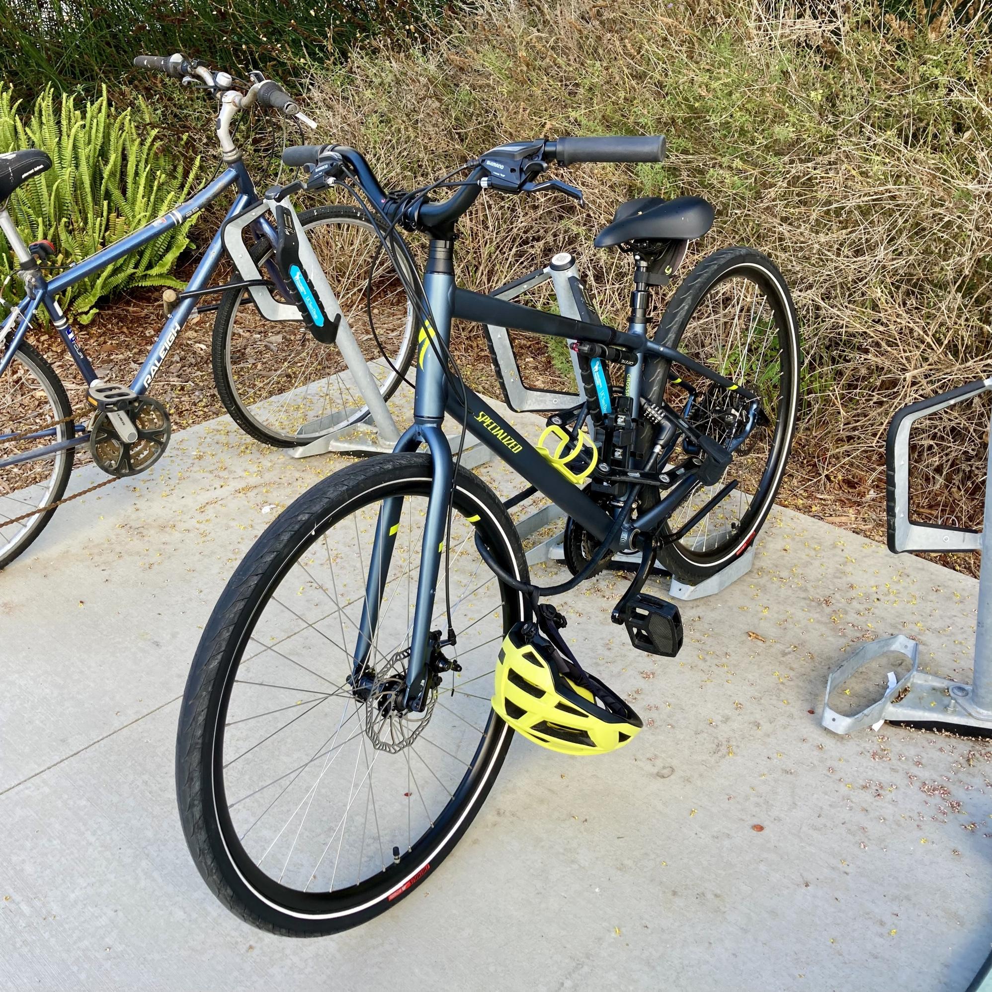 2021 Specialized Crossroads 2.0 Blue and Green