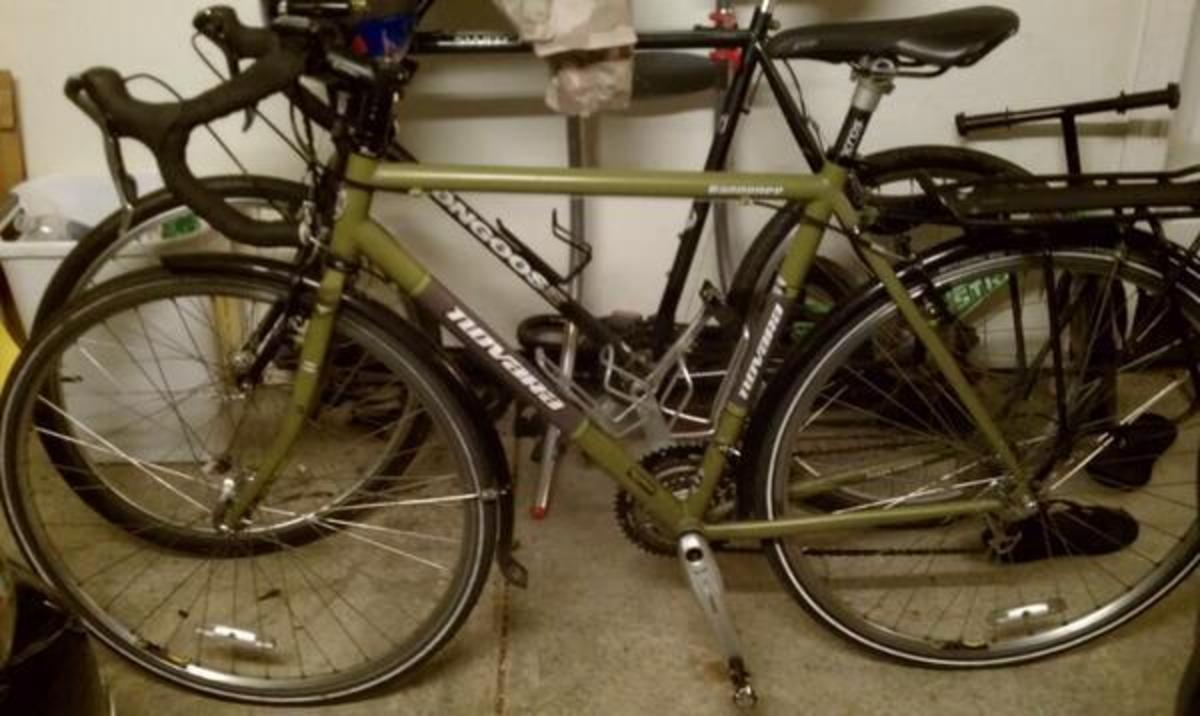 2007 Novara Randonee Green