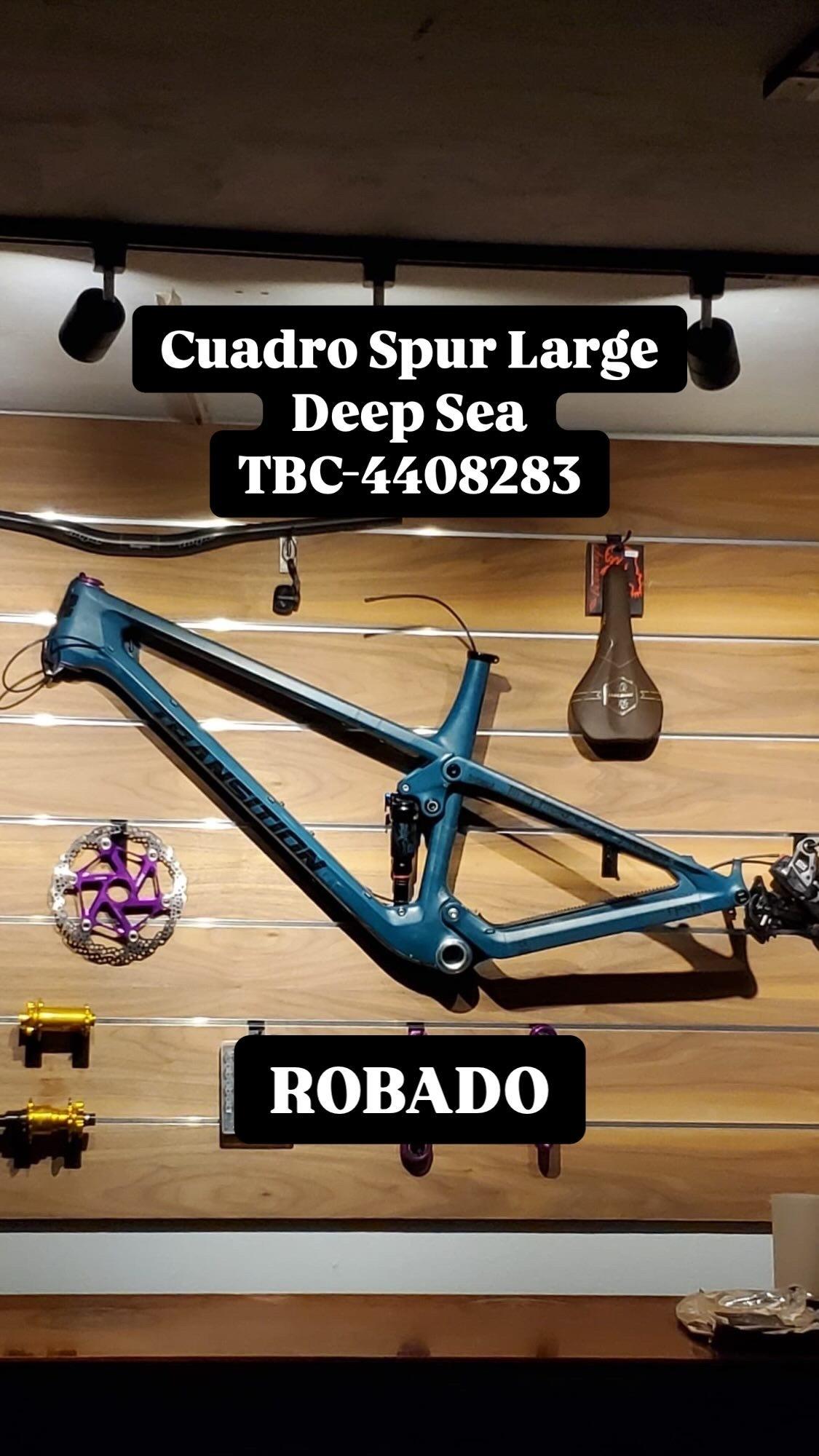 2020 Transition Bikes Spur Green