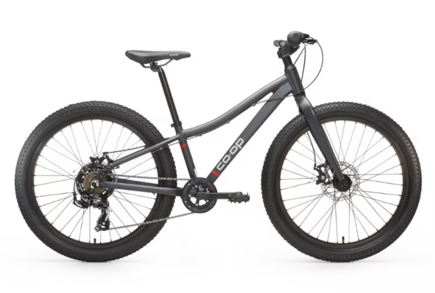 2021 REI Co-op REV 24 Kid Silver, gray or bare metal