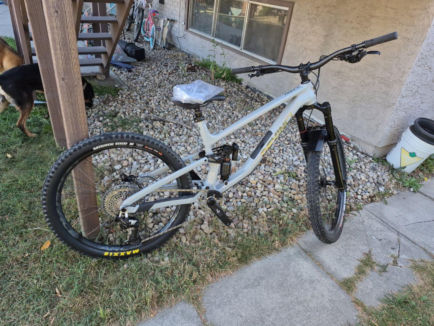 2025 Devinci Troy Eagle 90 12s LTD Silver, gray or bare metal