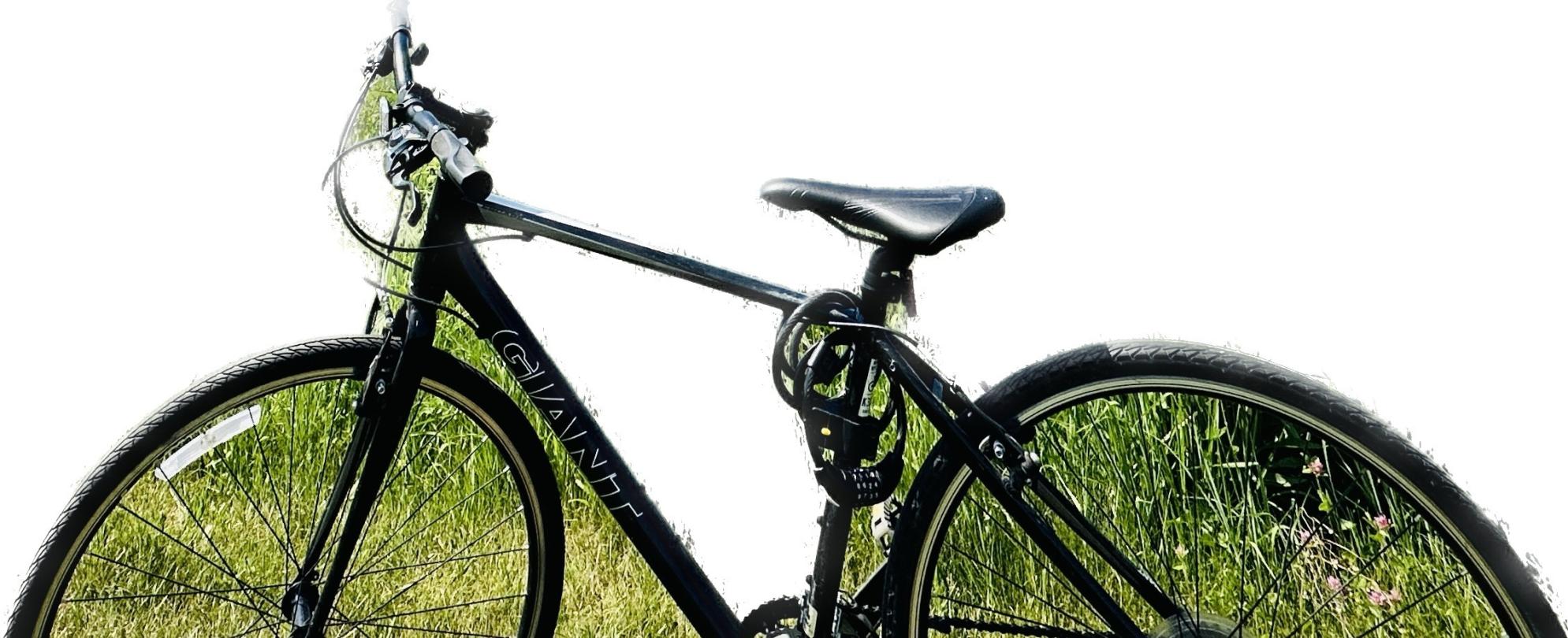 2012 Giant Escape 2 Black