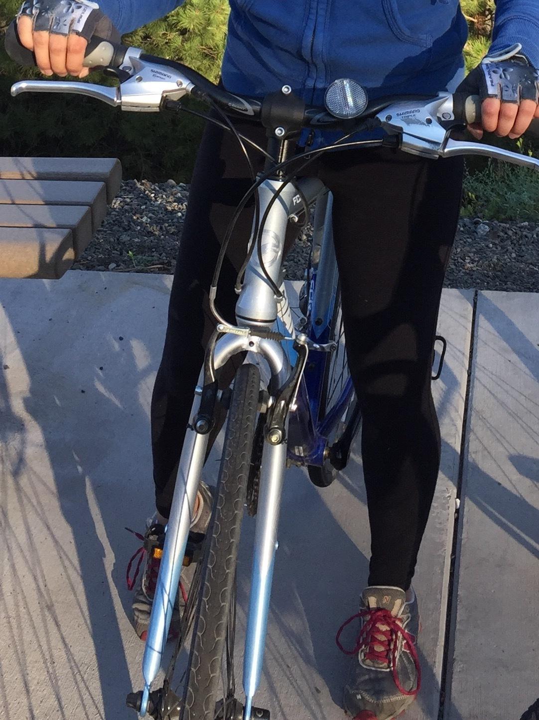 2010 Giant Blue
