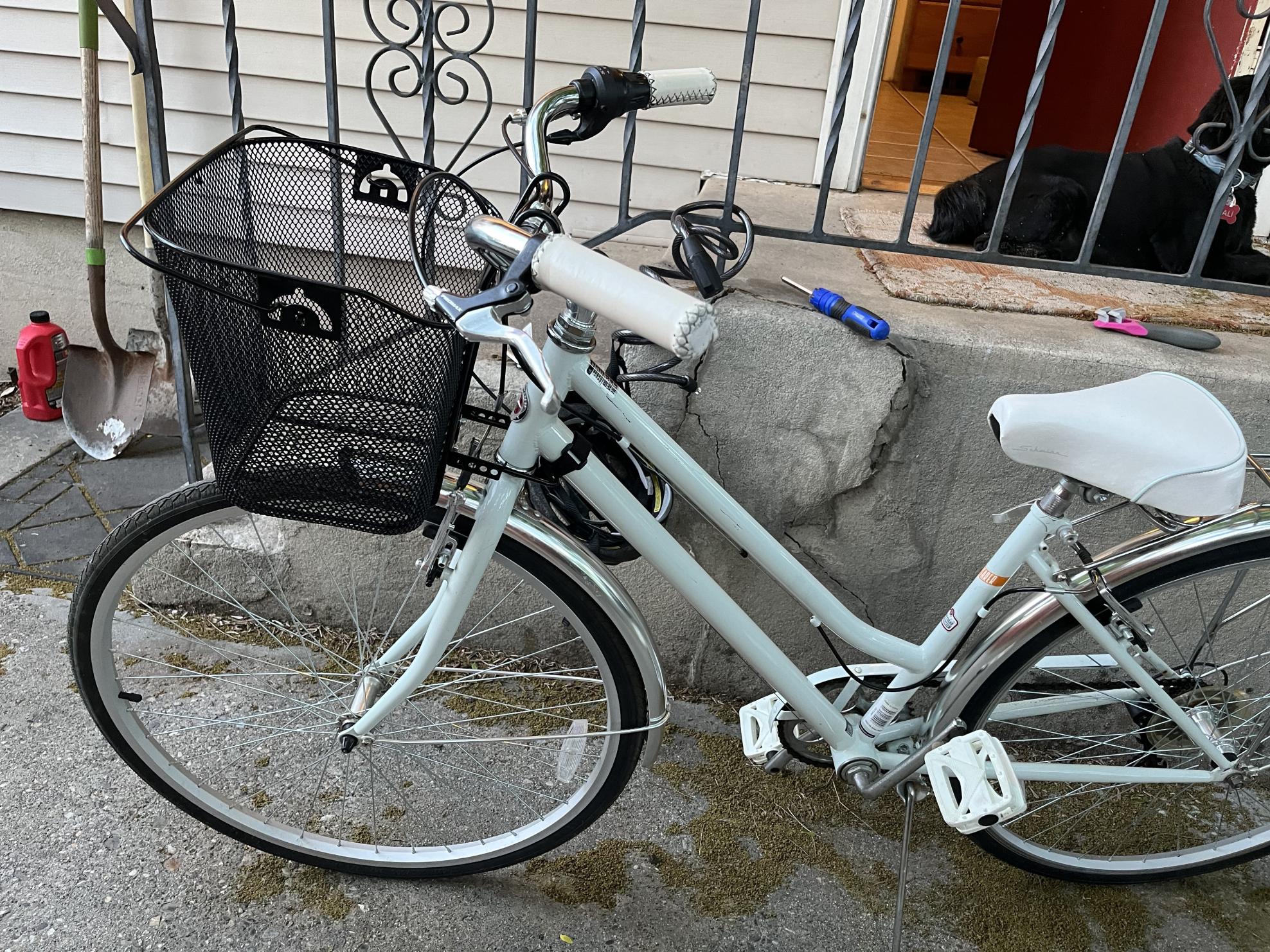 2020 Schwinn Wayfarer Green