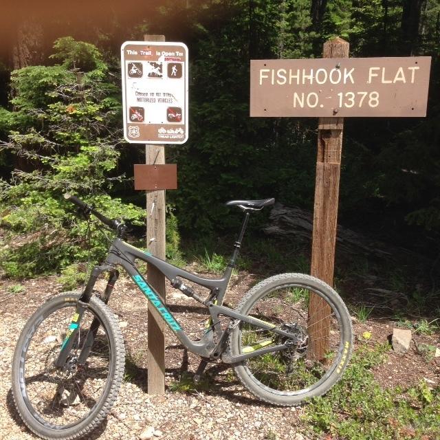 2016 Santa Cruz 5010 Black, Blue, and Yellow or Gold